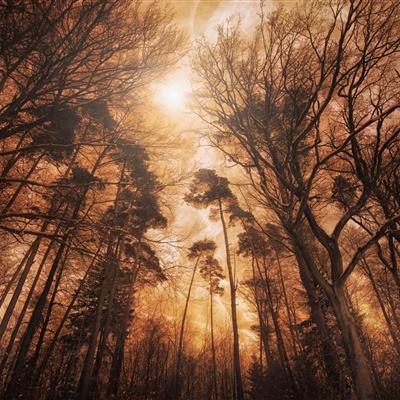 天健棋牌手机app下载